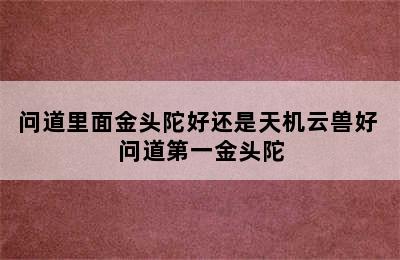 问道里面金头陀好还是天机云兽好 问道第一金头陀